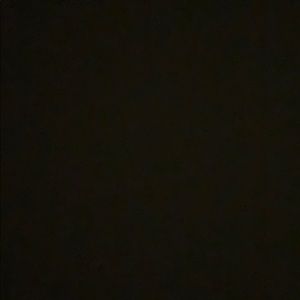 Meet your Posher, Maya